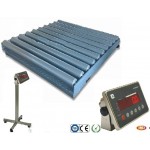 Cân kiểm tra dạng con lăn, Can kiem tra dang con lan - image2